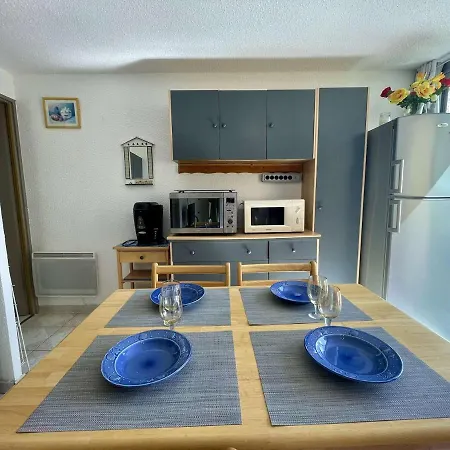 2p Climatise Avec Terrasse, Parking Et Wifi A St-cyprien, Proche - Fr-1-225d-182 * Saint-Cyprien (Pyrenees-Orientales)
